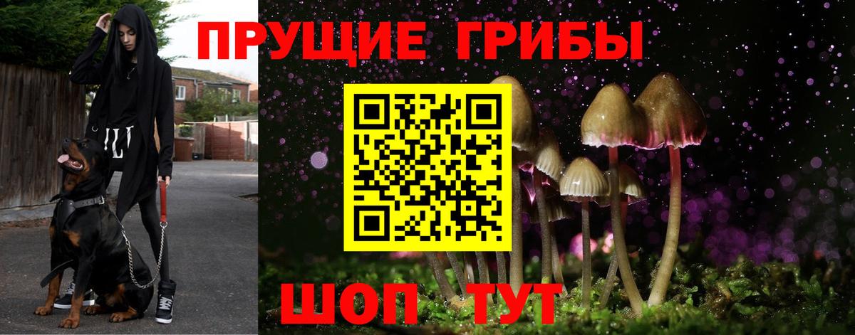 Галлюциногенные грибы прущие грибы Соль-Илецк
